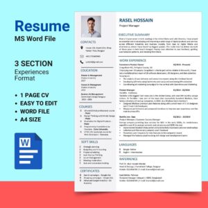 professional cv editable template for professionals